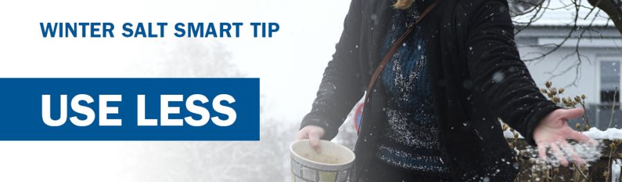 Each winter, road crews, businesses, and homeowners apply salt to improve traction on roads, driveways, and sidewalks.